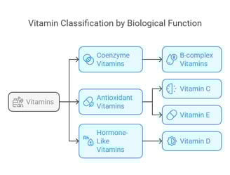 classification based on biological function