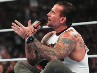 cm punk raw