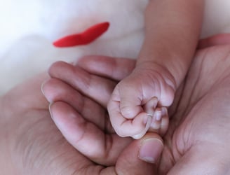 Newborn Portrait