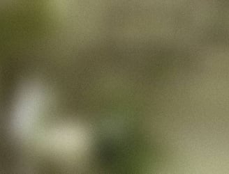 Imprenta en Lima con servicio rápido y profesional las 24 horas
