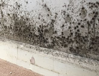Humedades en paredes comunes en Valencia y alrededores