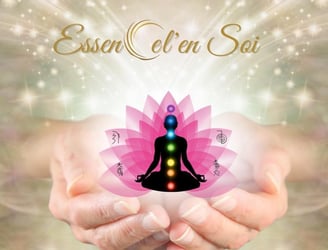 Logo EssenCel'enSoi représentant l'équilibre et le bien-être