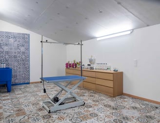 salon toilettage yonne