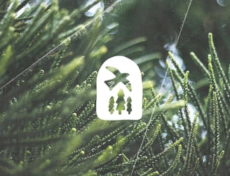 Inspyrae chalet d'hôtes