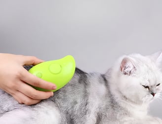 a cat is being groomed by a woman