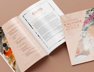 rapport d'activité