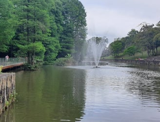 Parque Comandante Jacques Cousteau