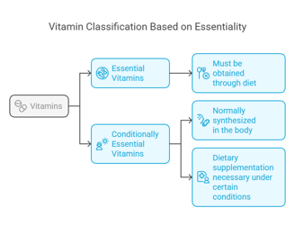 classification based on essentiality