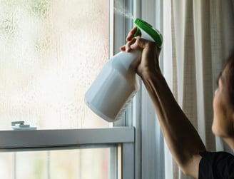 we provide window cleaning services as part of our end of lease cleaning services in sydney