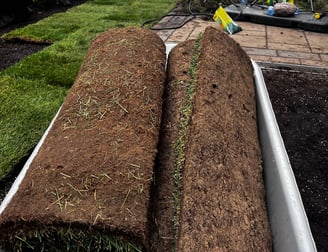 Fresh sod installed in Mississauga backyard -- Smiling Lawn