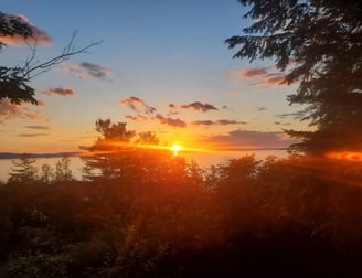 Ride near me lake champlaign burlington star shuttle