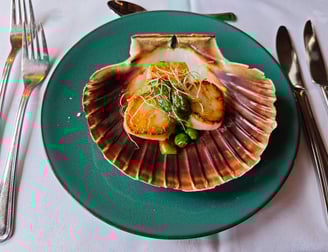 Three seared scallops in shell on a green plate