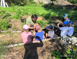 Groupe d'enfants de 6-12ans lors d'un stage nature à Lustin dans le jardin-forêt