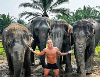 foto com elefantes em um santuário ético na Tailandia