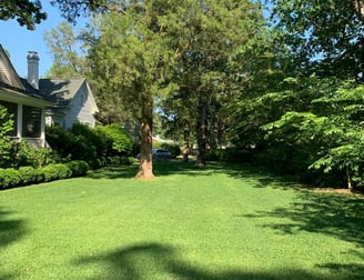 Personalized Lawn Care