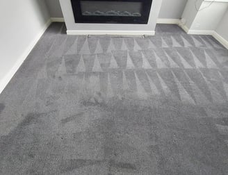pet and food stains professionally removed in living room in Leeds