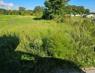 Vacant land for sale at 0 Blount St, Ayden NC 28513