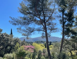 Vue panoramique Location Maison Vacances Bastide La Courlette Marseille vue panoramique avec vue