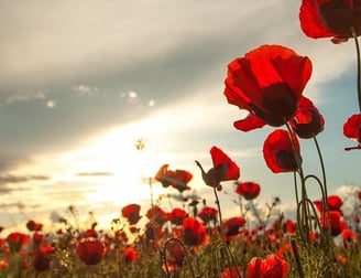 counselling for PTSD