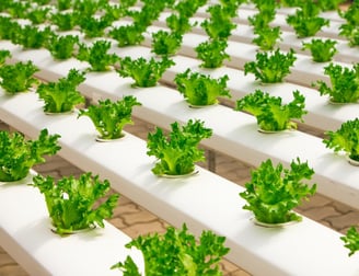 Sustainable products