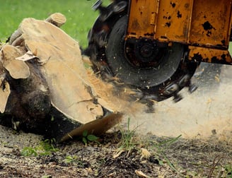 Stump Grinding Services
