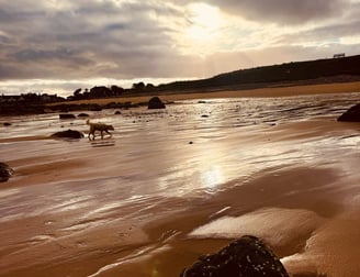 Late afternoon god walk on the beach