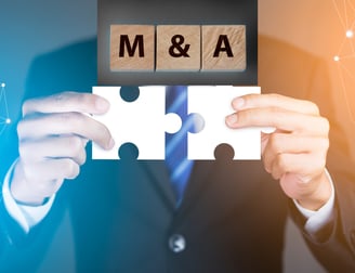 Merger & Acquistion, Due Diligence