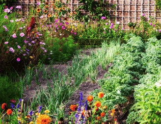A French potager using raised beds blends beauty and productivity
