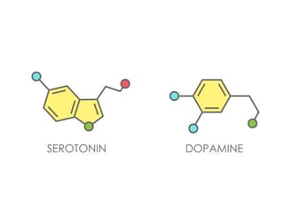 Serotonin ve dopamin beyin kimyasını etkileyen ruh halinden motivasyona kadar birçok süreci düzenleyen nörotransmitterlerdir