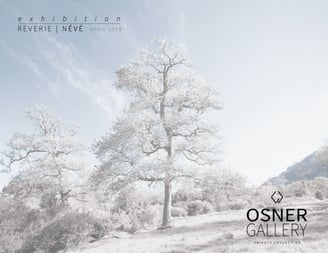 Reverie | Névé exhibition brochure featuring a soft-toned landscape with blooming trees under a pale sky, presented by Osner 
