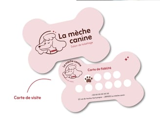 Qu'est-ce qu'une identité visuelle-La mèche canine-carte de visite-Amy blog graphique