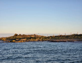 Clôture bois réalisée par AJ Paysagiste à Chausey, intégrée dans le paysage côtier naturel