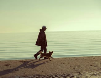 dogAdvisor | dogadvisor | dog advisor | dogAdvisor.dog