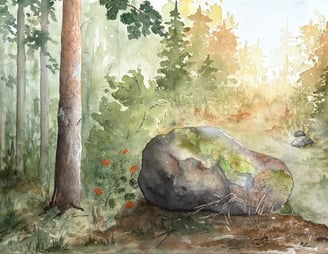 skog, sten, mossa