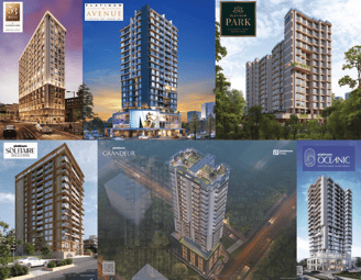 PLATINUM CORP PROJECTS