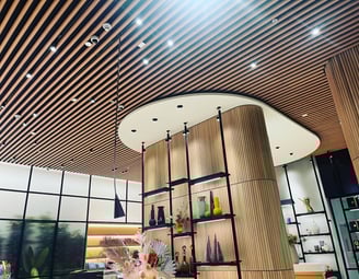 Baffle Ceilings
