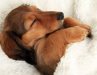 Amélioration du sommeil