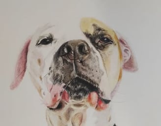 Stunning custom dog portrait by Dudley artist Maggie