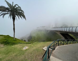 Lima coast covered in fog