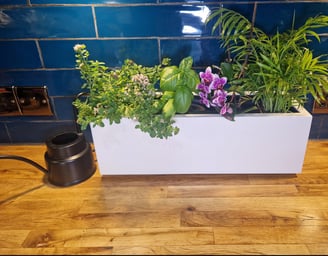Indoor herb planter box handmade in UK from solid quality wood painted in colour white