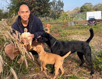 organic farm with dogs หมา ออร์แกนิค