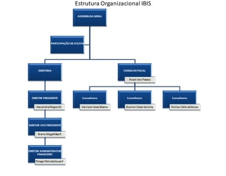 Estrutura organizacional 