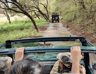 jeep safari in ranthambore national park