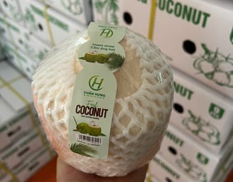 Coconut from Chan Hung