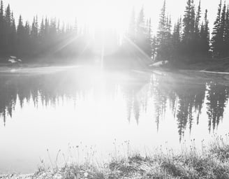 Sunlight over lake representing calm websites designed by Wildmere Digital