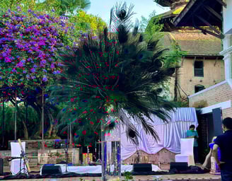 Wedding reception setup in Patan Durbar Square