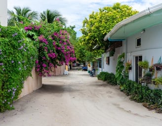 a dirt road with a bunch of flowers on the side of the road