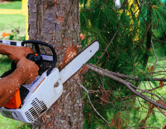 a man is using a chainsaw to cut a tree