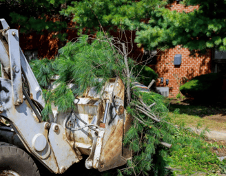 a tractor with a tree growing out of it