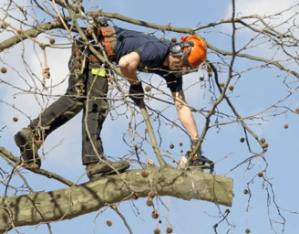 a man in a helmet is using a chainsawl to cut down a tree